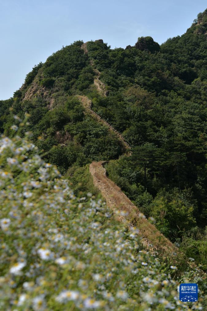 澳门十三弟注册